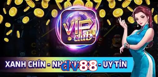 dv88